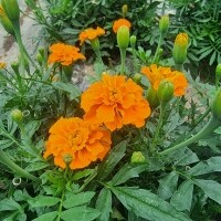 김효정님 전용 결제창